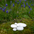 Afterstone ash into stone memorial pebbles