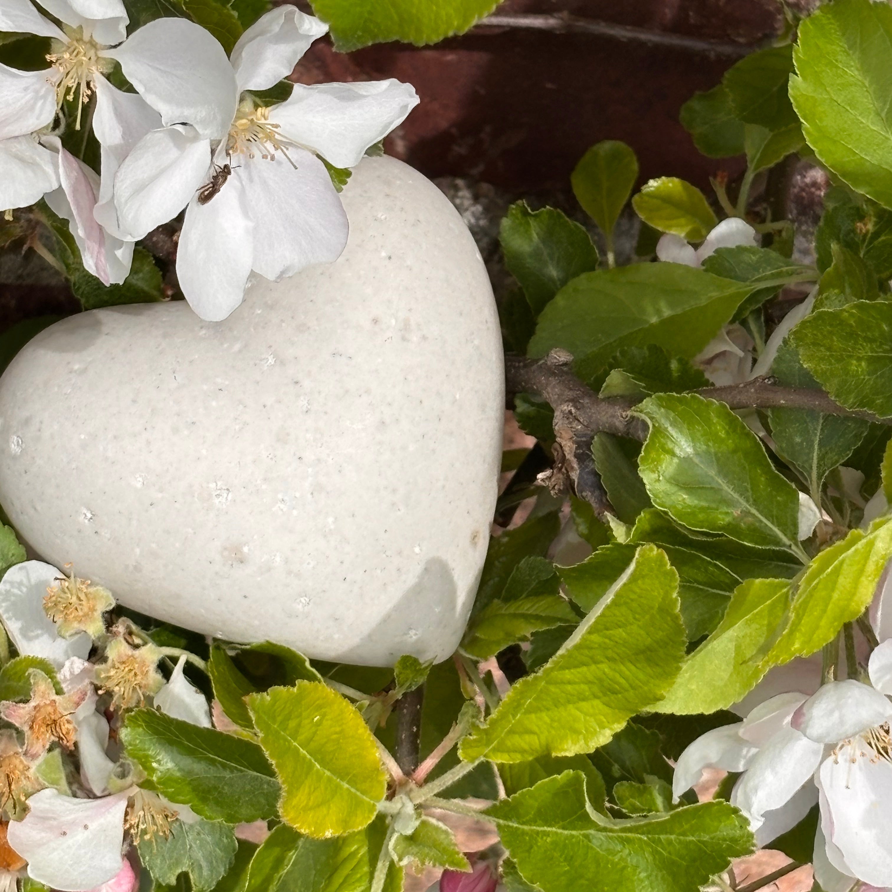 Afterstone ash into stone memorial heart