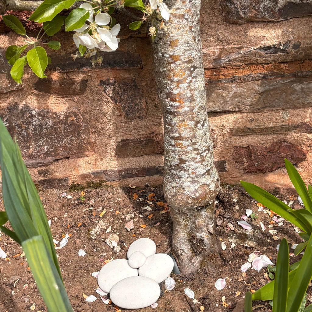 Afterstone ash into stone memorial pebbles