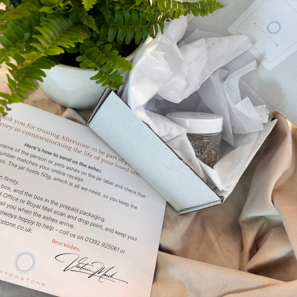 An open cremated ashes collection kit for Afterstone. Showing an open white collection box containing an ashes collection jar sitting beside a printed ashes collection instruction card. The collection jar is nestled in white tissue paper, arranged with green fern leaves and beige fabric on a light background.