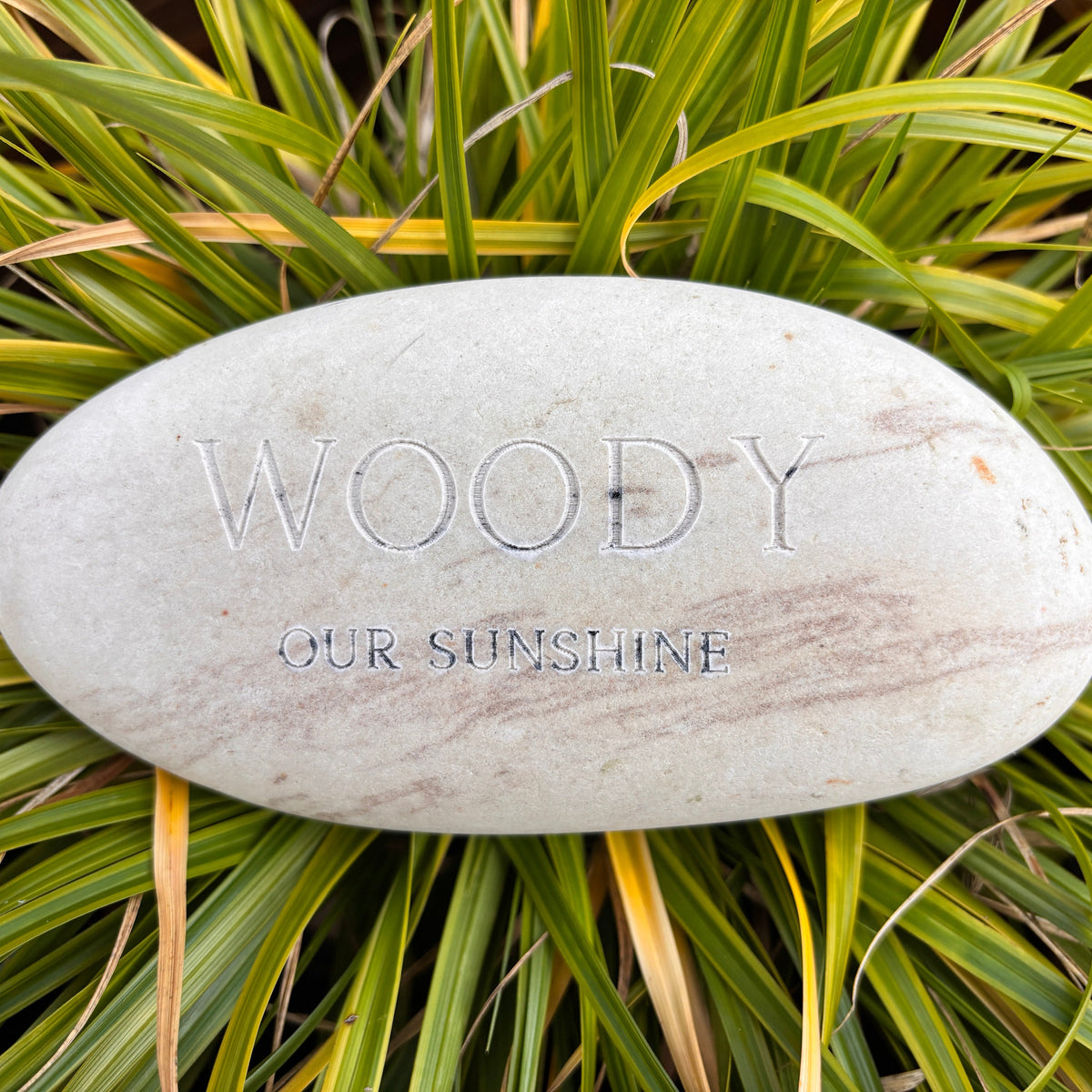 A polished oval stone engraved with the words 'OUR SUNSHINE WOODY' in reverse, resting on a bed of green and yellow ornamental grass.