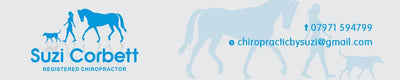Suzie Corbett – Chiropractor,  & Equine McTimoney Animal Practitioner.